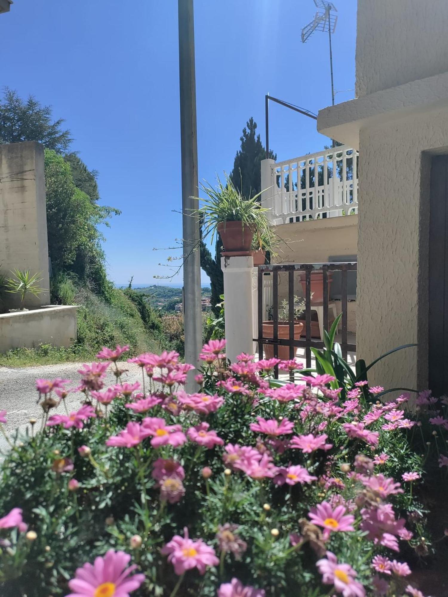 Apartment La Casa In Collina